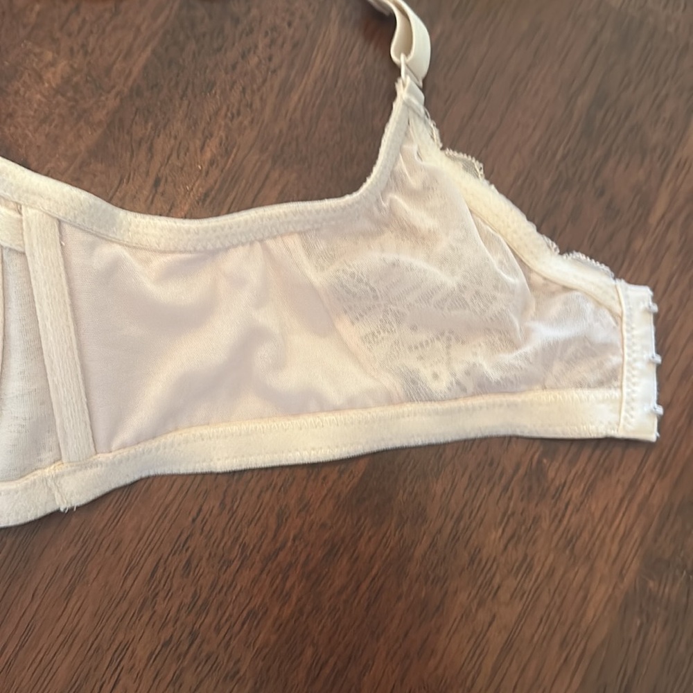 The Little Bra Company - Picture 11 of 13